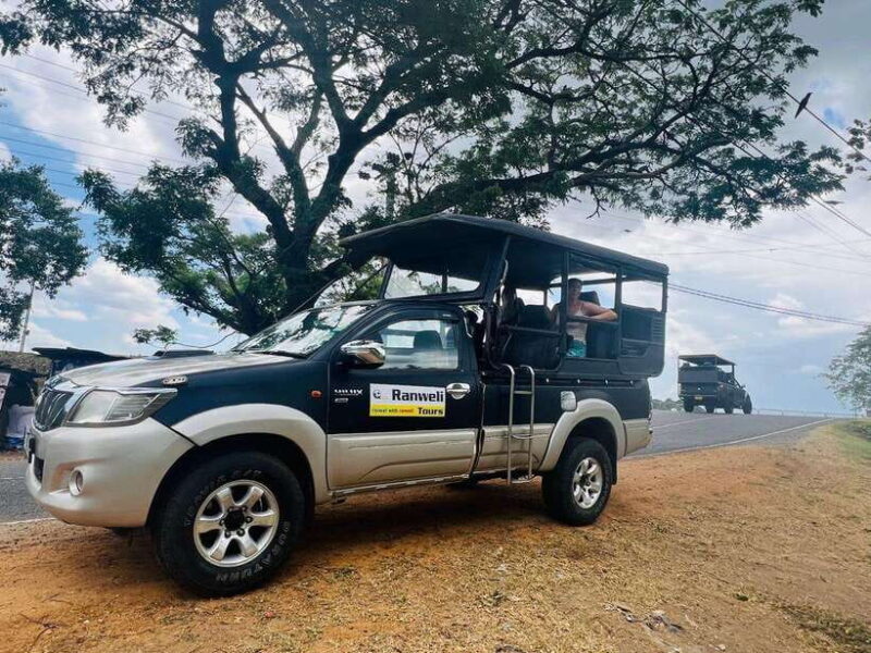 From Colombo: 4-Day Sri Lanka Round Tour with Airport - How This Tour Fits Different Travelers