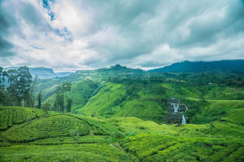 From Colombo: 4-Day Sri Lanka Tour with Elephant Orphanage - Introduction: A 4-Day Adventure Across Sri Lanka