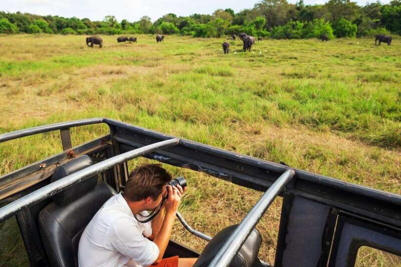 From Colombo: 4-Day Sri Lanka Tour with Elephant Orphanage - Key Points