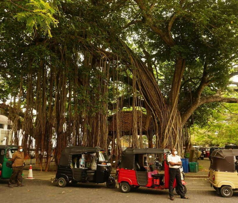 From Colombo: All Inclusive Day Tour to Galle - FAQ