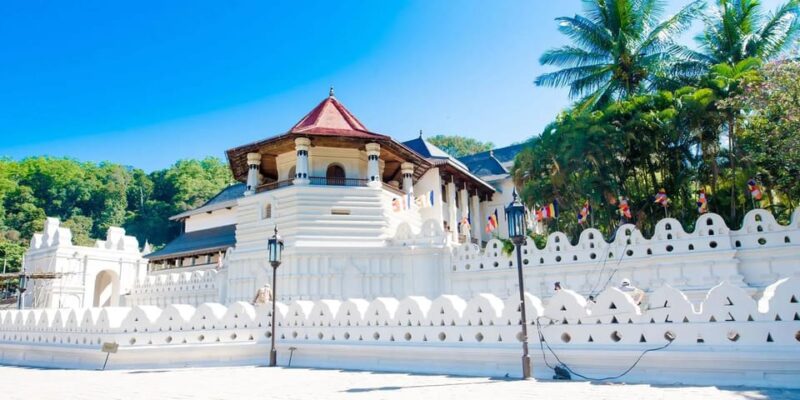 From Colombo : Day Trip to Kandy/ Pinnwala/ Royal Gardens - Itinerary Highlights