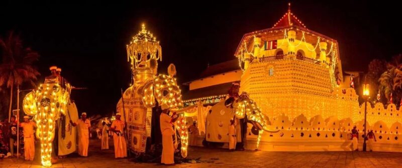 From Colombo : Day Trip to Kandy/ Pinnwala/ Royal Gardens - Pinnawala Elephant Orphanage
