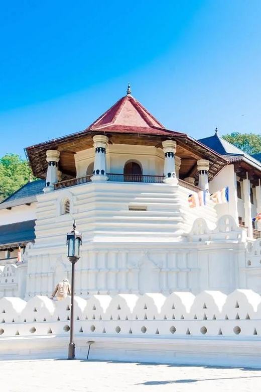 From Colombo - Day Trip to Kandy/ Pinnwala/ Royal Gardens - Royal Botanical Gardens