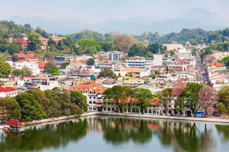 From Colombo: Discover Elephant Orphanage and Kandy Day Tour - Final Thoughts