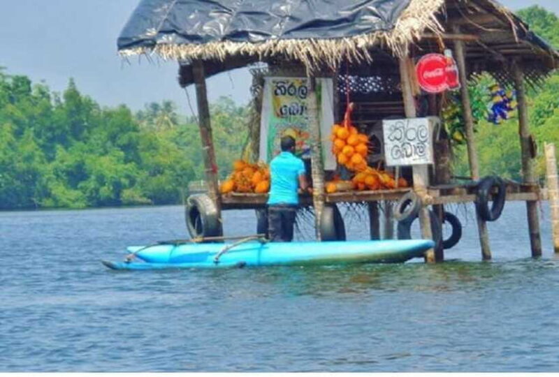 From Colombo: Exclusive Madu River Safari & Turtle Hatchery - Who Will Love This Tour?