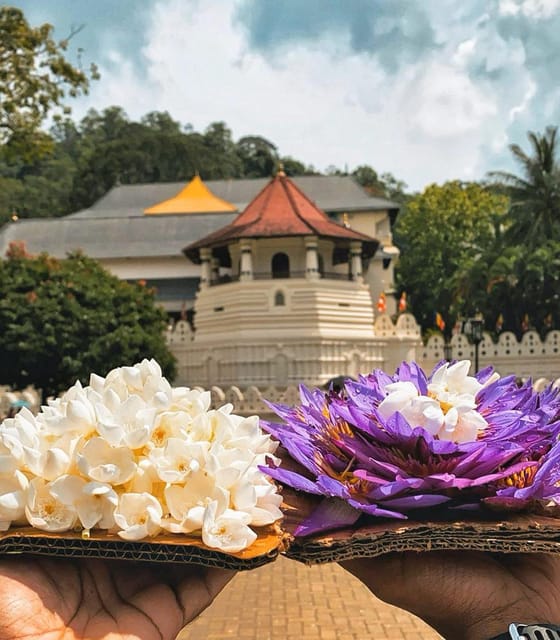 From Colombo: Kandy and Pinnawala Elephant Orphanage Tour - Itinerary