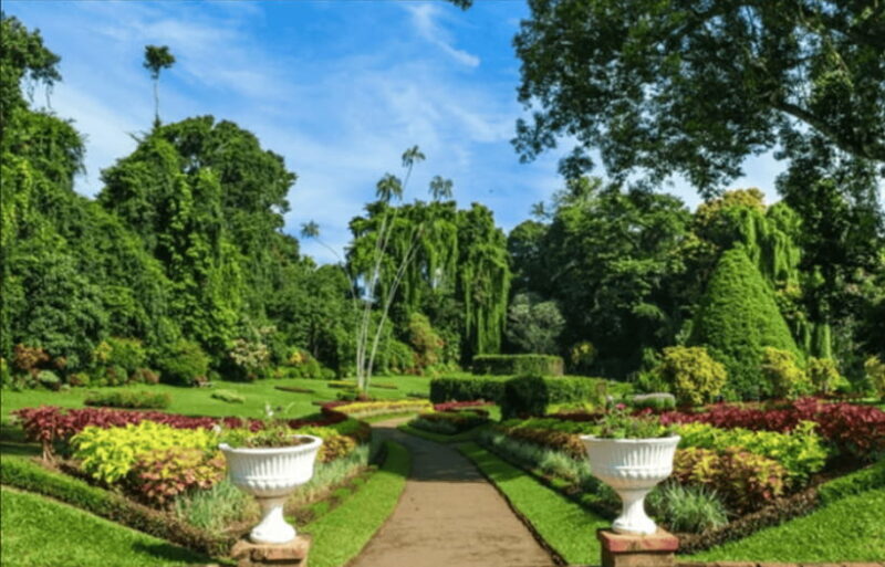From Colombo: Kandy and Tea Plantations Day Trip - An In-Depth Look at the Tour