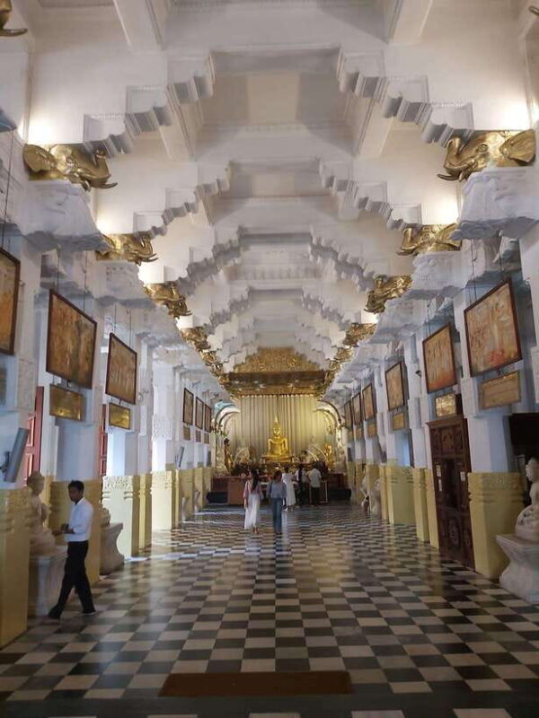 From Colombo: Kandy, Pinnawala and Tea Factory Full-Day Trip - Final Thoughts