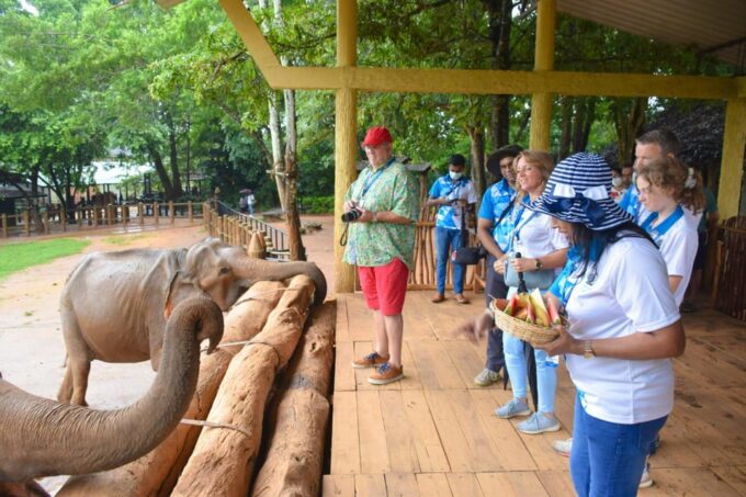 From Colombo: Kandy & Pinnawala Orphanage Short Excursions - Frequently Asked Questions