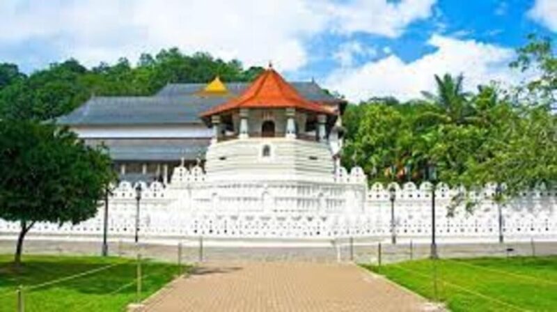 From Colombo: Kandy & Pinnawala & Tea Factory Full Day Trip - Good To Know