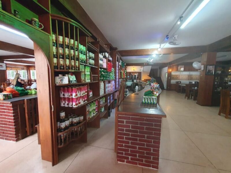 From Colombo: Kandy & Pinnawala & Tea Factory Full Day Trip - Pickup and Transportation