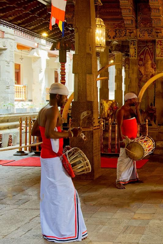 From Colombo: Kandy & Pinnawala & Tea Factory Full Day Trip - Attractions and Itinerary