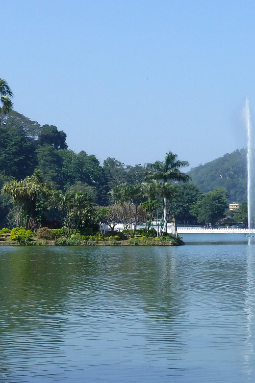From Colombo: Kandy Temple of the Tooth & Botanical Gardens… - Good To Know