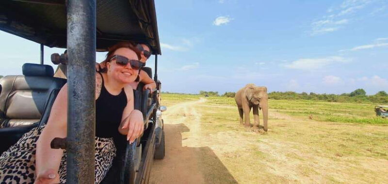 From Colombo/Negombo: Wilpattu National Park 4x4 Safari Tour - The Sum Up