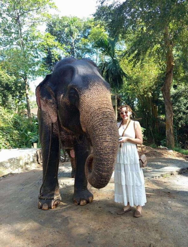 From Colombo or Negombo: Pinnawala, Kandy & Tea Factory Tour - Authentic Experiences and Practicalities