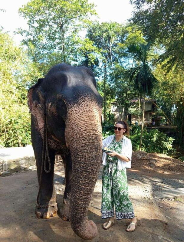 From Colombo or Negombo: Pinnawala, Kandy & Tea Factory Tour - FAQ