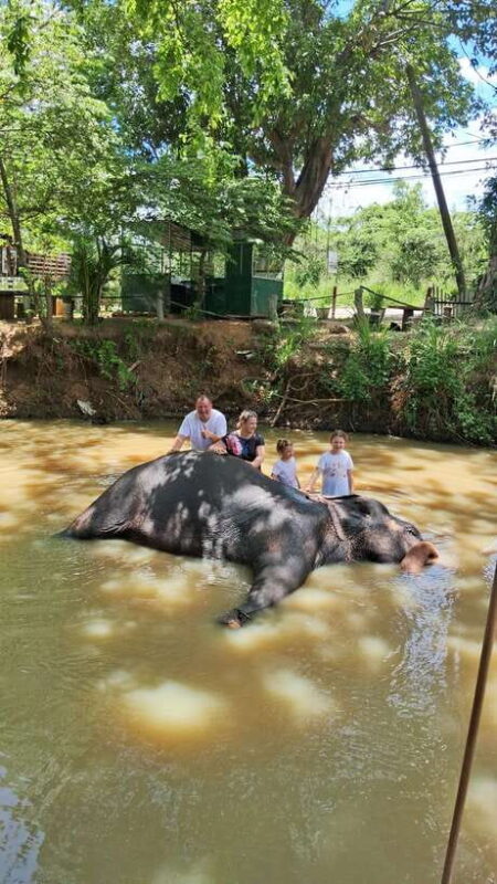 From Colombo: Pinnawala and Kandy Guided Day Tour by Car/Van - An Open and Honest Look at the Tour Experience