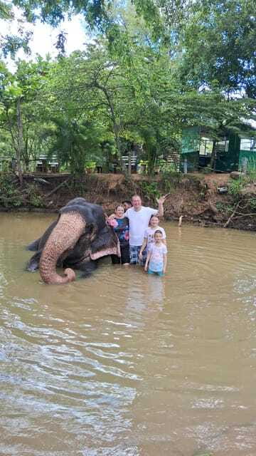 From Colombo: Pinnawala and Kandy Guided Day Tour by Car/Van - Who This Tour Is Best For