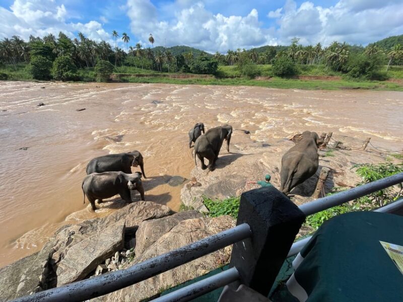 From Colombo Port : Shore Excursions Pinnawala - Inclusions and Exclusions