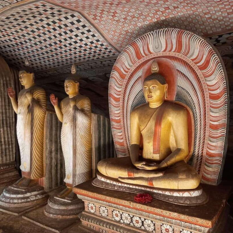From Colombo: Sigiriya & Dambulla excursion with a Safari - Key Points
