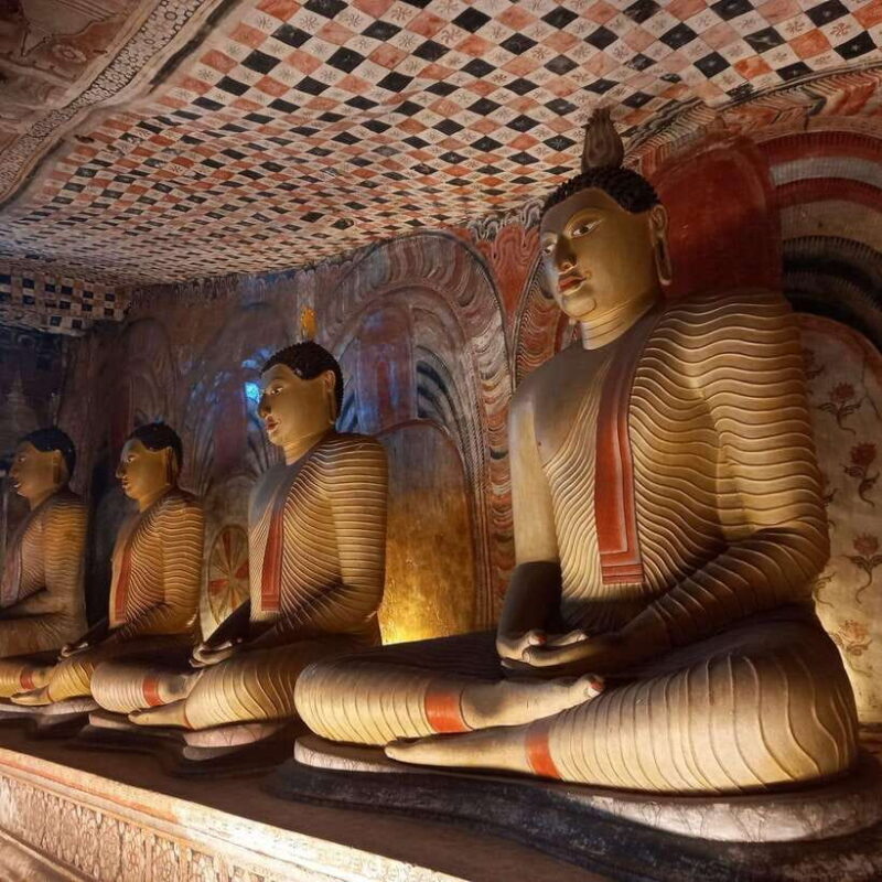 From Colombo: Sigiriya & Dambulla excursion with a Safari - Who Will Love This Tour?