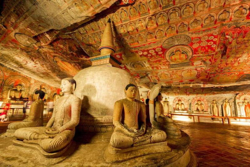 From Colombo: Sigiriya / Dambulla & Safari Day Tour - Key Points
