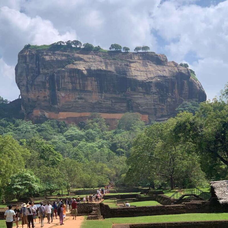 From Colombo: Sigiriya Rock, Dambulla & Minneriya 4x4 Safari - Final Word