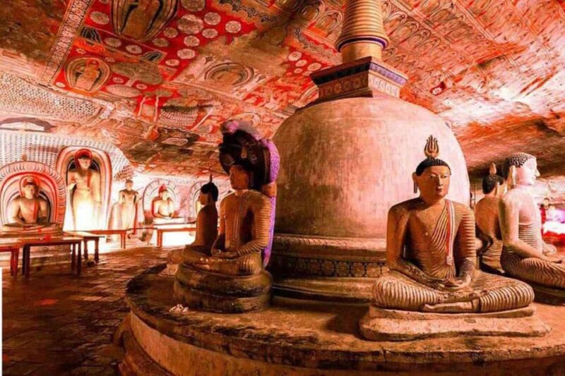 From Colombo : Sigiriya,Dambulla Day Tour & Safari - Itinerary Highlights