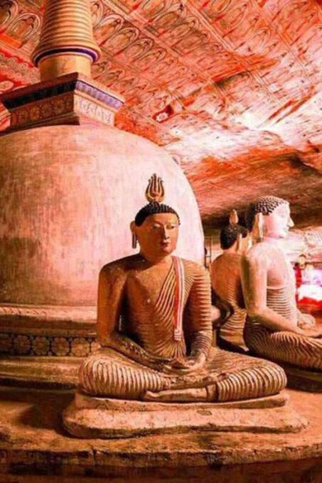 From Colombo : Sigiriya,Dambulla Day Tour & Safari - Additional Notes