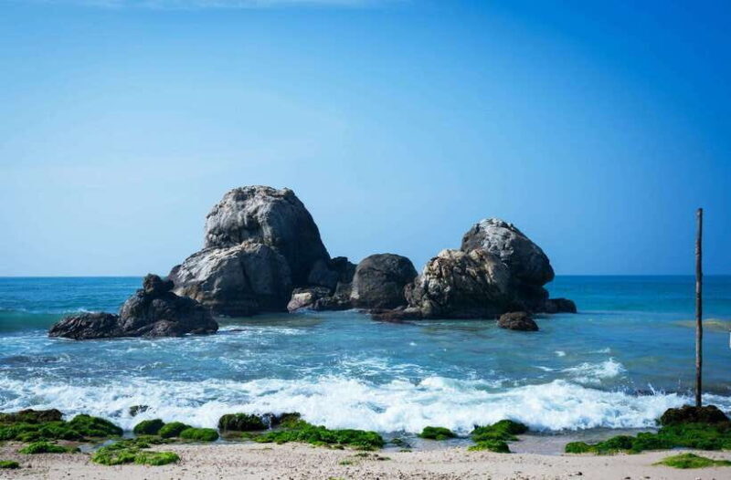 From Colombo to Galle Fort and Jungle Beach Day Trip - What Travelers Say