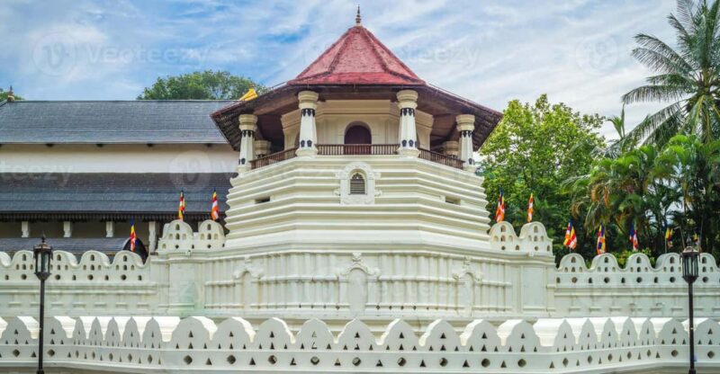 From Colombo to Kandy Day Trip by Private Transportation - Good To Know
