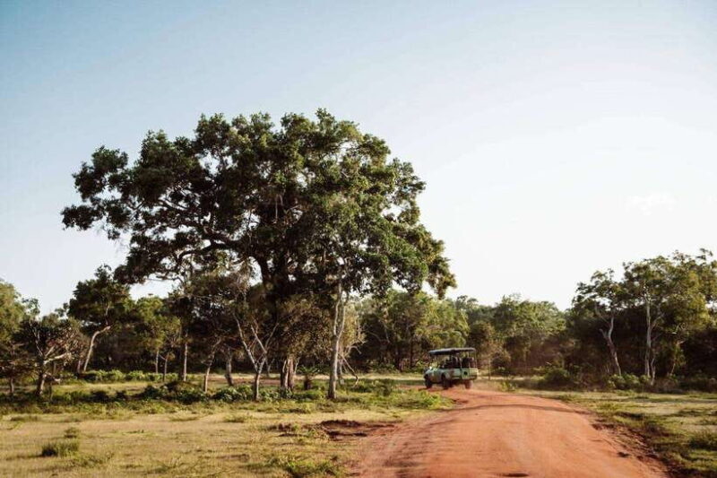 From Colombo: Udawalawe National Park Private Jeep Safari - Who Should Consider This Tour?