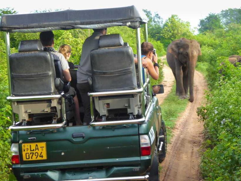 From Colombo : Yala National Park Safari With Tickets - Final Thoughts