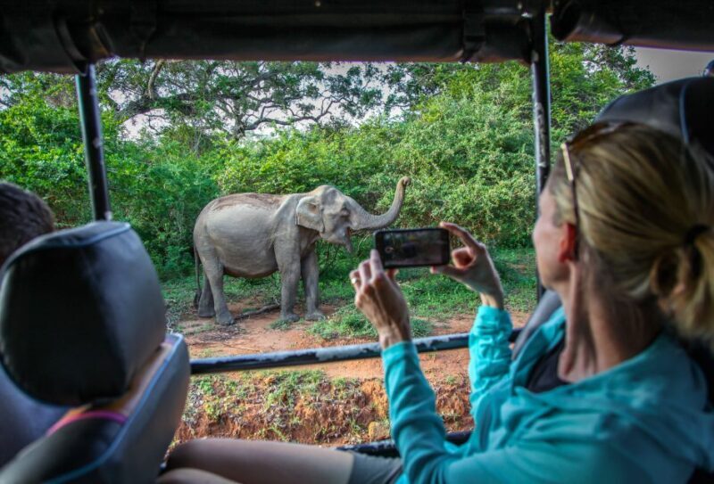 From Colombo : Yala National Park Safari With Tickets - FAQ