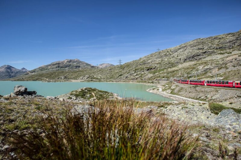 From Como: St. Moritz and Tirano Trip With Bernina Express - Key Points