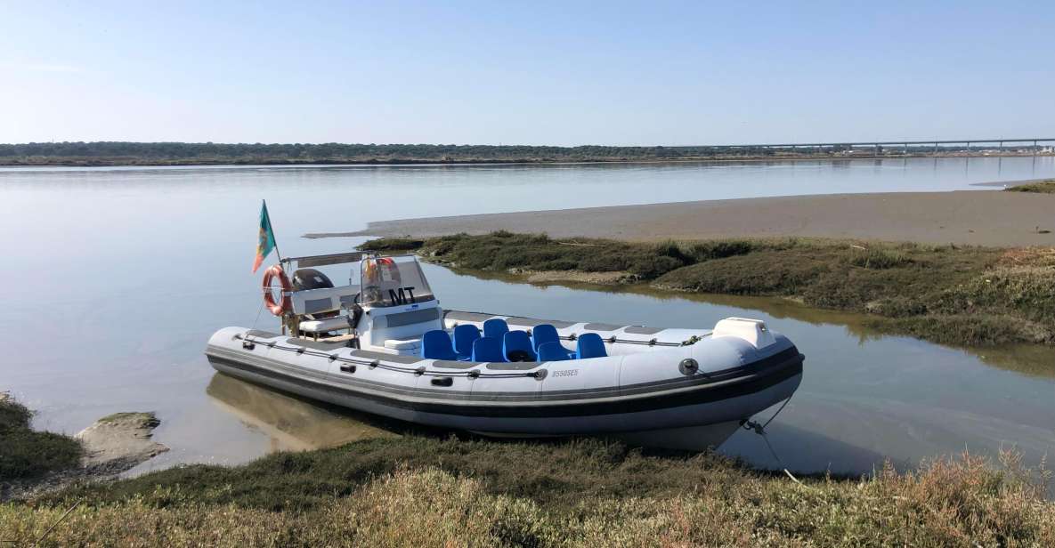 From Comporta to the Arrábida Coast and Troia - Key Points