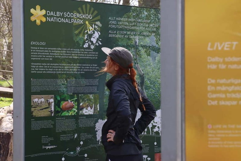 From Copenhagen: Lund and Dalby guided hike in national park - Discover Scandinavia’s Oldest Stone Church and Lush Forests on a Guided Hike from Lund