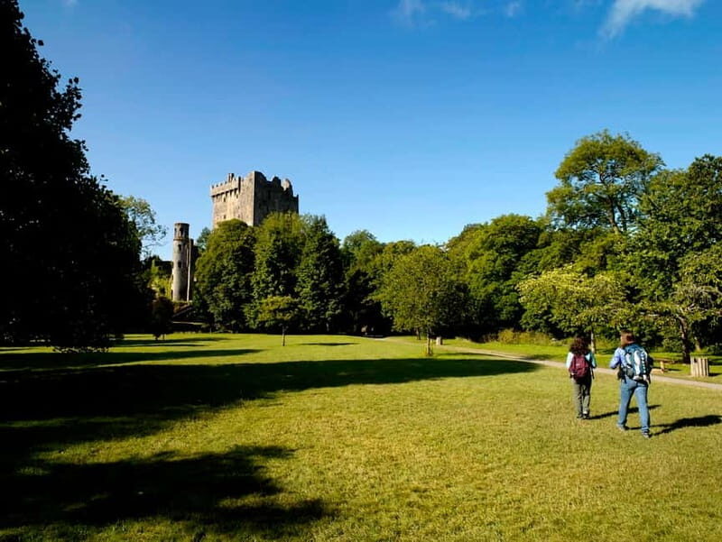 From Cork: Guided Shared Shore Excursion - The Full Breakdown: What to Expect on This Cork Shore Tour
