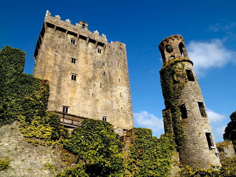 From Cork: Guided Shared Shore Excursion - The Value and Practicalities