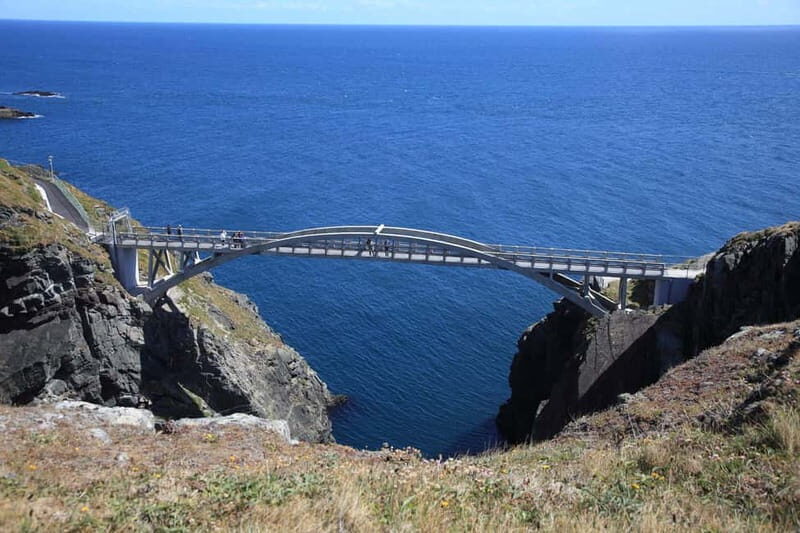 From Cork: West Cork to Mizen Head Guided Full Day Tour - Key Points