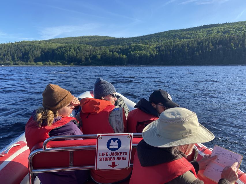 From Corner Brook : Bay Of Islands Island Zodiac Boat Tour - Stunning Bay of Islands