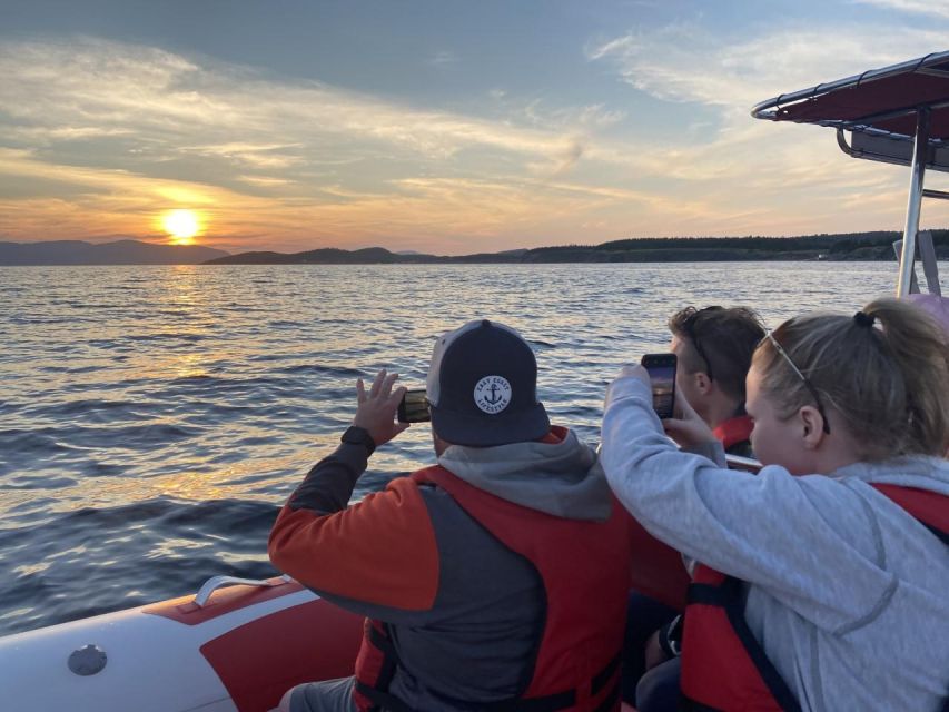 From Corner Brook : Bay Of Islands Island Zodiac Boat Tour - Safety and Inclusions
