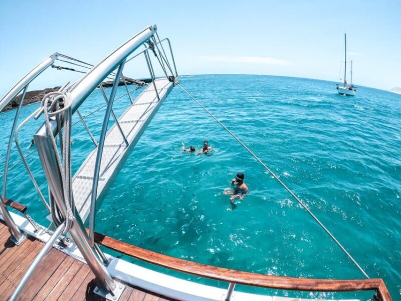 From Corralejo: Lobos Island Boat and Snorkel Activity - Key Points