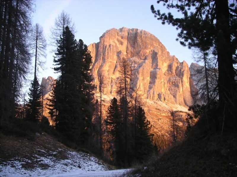 From Cortina: Full-Day Dolomites Mountains Tour - What Makes This Tour Stand Out?