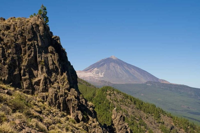 From Costa Adeje or Santa Cruz: Contrasts of Tenerife Tour - Key Points