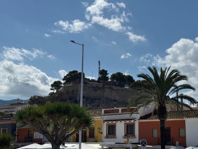 From Costa Blanca: Denia and Mediterranean Gardens Day Trip - An In-Depth Look at the Experience