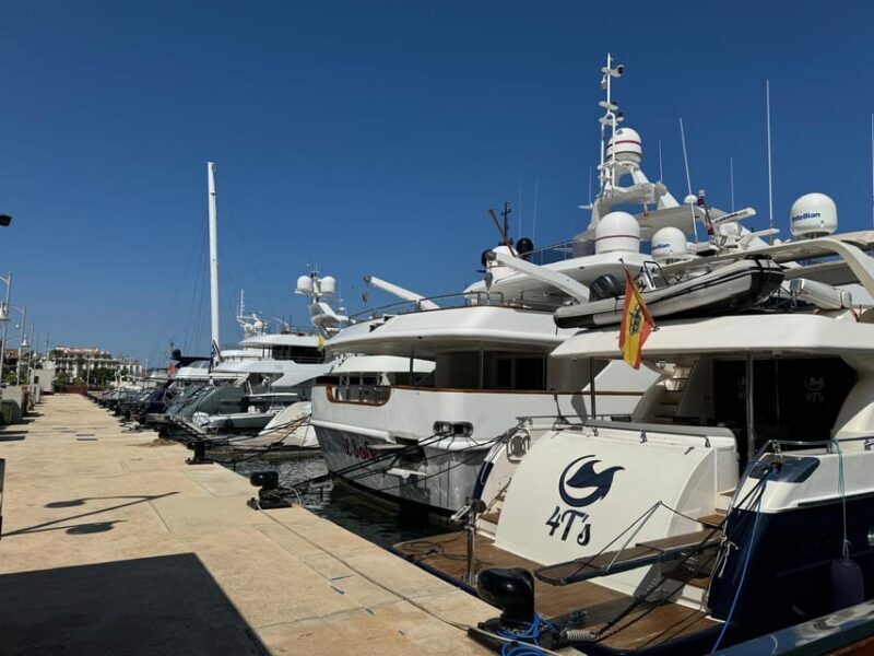 From Costa Blanca: Denia and Mediterranean Gardens Day Trip - The Sum Up: Who Is This Tour For?