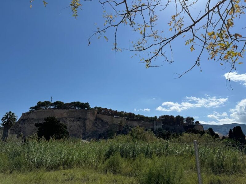 From Costa Blanca: Denia and Mediterranean Gardens Day Trip - FAQ