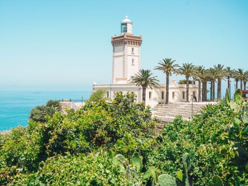 From Costa Del Sol: Discover Tangier on a Guided Day Trip - Explore Tangiers Captivating Charm