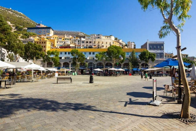 From Costa del Sol: Gibraltar Day Trip with Free Time - The Details of the Itinerary